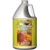 GH Floralicious Plus Gallon (4/Cs)