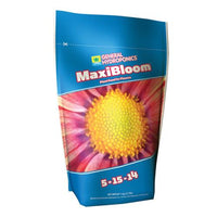 MAXI BLOOM (2.2LB)