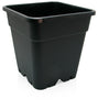 The Giant Pot
