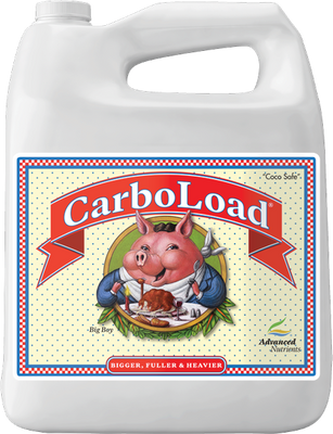 CarboLoad 4L