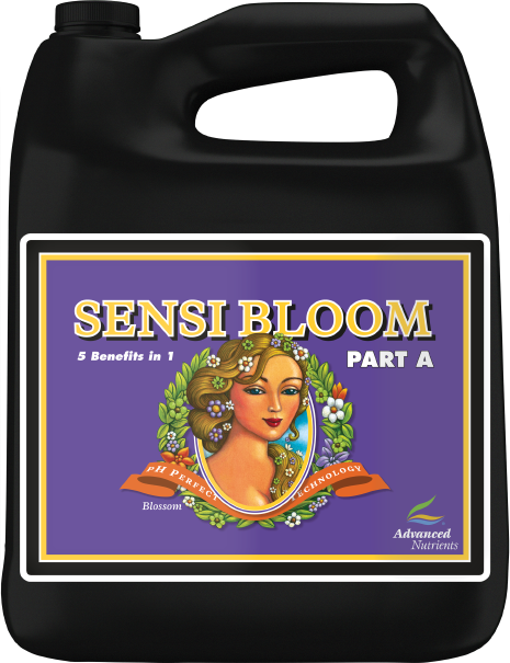 pH Perfect Sensi Bloom Part A 4L