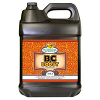 B.C. Boost 10 Liter (2/Cs)